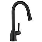 Adler Pull-Down Kitchen Faucet - 14.56-in - Matte Black Moen