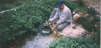 Resultado de imagen para BATEAS GARRETT LAVADORO DE ORO