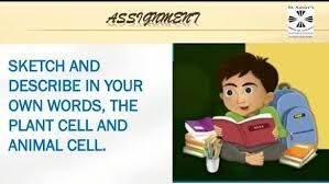 Presenting complex material in a readable manner, the book offers a comprehensive summary of the fundamental neural sources of human and animal feelings, as well as a conceptual framework for studying emotional systems of the brain. Answer Me This Question Please Brainly In