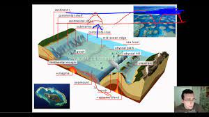 Cc Cycle 1 Science Wk18 Oceanic Floors Video Part 2 Landforms Lessons Earth And Space Science Ocean