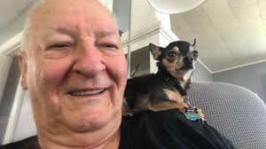 Wiring diagram for 97 Stratos 201 Pro Elite needed