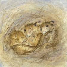 Art Gallery Original Paintings Limited Edition Prints Framing Kate Wyatt Art Fairytale Art Animal Art