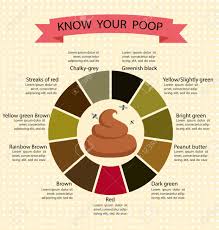 Image result for dark black stool human poop