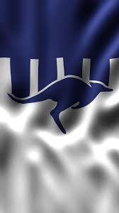 Collingwood football club and transparent png images free download. North Melbourne Wallpaper 2019 In Pictures Inspiring Photography From 2019 Wallpaper Its Local Government Area Is The City Of Melbourne