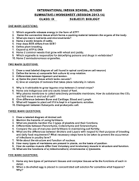 (b) tissue that connects muscle to bone in humans. Worksheet 3 International Indian School Riyadh