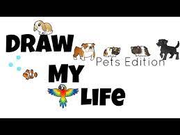 Producer julia pistor both developed the series and created barbie's voice. Draw My Life Pet Edition Youtube