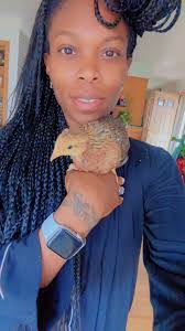 Stephanie Couey's Instagram, Twitter & Facebook