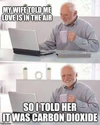 Love is in the air. Hide The Pain Harold Meme Imgflip