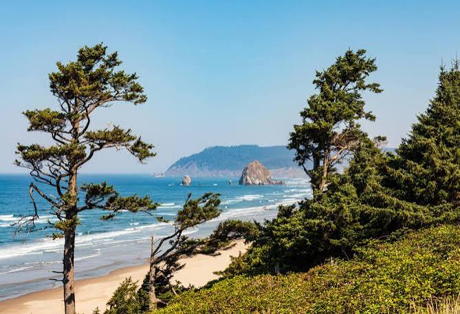 Day Trip Ideas: Things to Do in Cannon Beach - The Sea Shore Inn