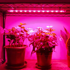 Litever Ll Gls 4s Grow Light Strip Kit 45w 4 Pcs 16 Inches Led Grow Light Strips With Extension