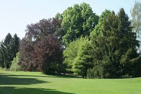 Wir vermieten diesen bastelraum, bestehend aus einem raum, im descrizione. Rieterpark Cityparks Ch