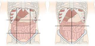 Check spelling or type a new query. Quadrants And Regions Of Abdomen Wikipedia