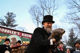What to know about Groundhog Day traditions and Punxsutawney Phil -  Athabasca, Barrhead & Westlock News