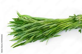 Image result for Ipomoea aquatica