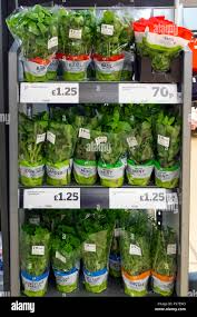 A Display Of Fresh Culinary Herds Growing In Pots For Sale In A Supermarket In England Uk Stock Photo Alamy
