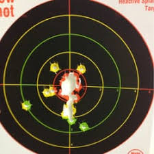 Image result for firearm targets