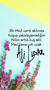 Bir Mavi Vardi Aklimda Kosup Yakalayamadigim Aklim Artik Kus Akli Mavi Bana Cok Uzak Alilidar Siir Umidetutunmak Siir Kus