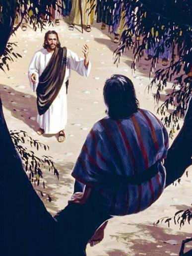 images?q=tbn:ANd9GcSlZz8vvv0nIQolcuzE-T1xLVtjS4xv7PQlOzDqhiJrFA&s=10