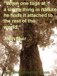 Our Favorite Nature Quotes John Muir Nature Quotes Earth Day Quotes Lovely Quote