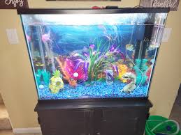 Photo #1 - My First African Cichlid Tank! 30 Gallon Regular,...