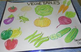 vegetables chart for preschool vegetable chart vegetables