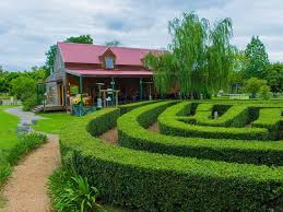 Amazement Farm And Fun Park Tuggerah Visitnsw Com Farm Stay Farm Fun Farm