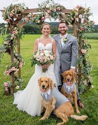 Large Dog Grey Wedding Tuxedo Dog Formal Wear Dog Wedding Attire Dog Wedding Outfit Dog Wedding Suit Dog Bow Tie Dog Harness Dog Tie Dog Wedding Attire Dog Wedding Dog