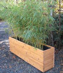 Tall Bamboo Rectangular Planter Google Search Outdoor Wooden Planters Bamboo Planter Bamboo Garden