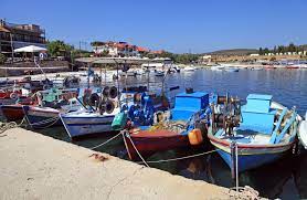 Check spelling or type a new query. Ammoylianh O Lilipoyteios Paradeisos Me Tis Xryses Ammoydies Kai Ta Galazoprasina Nera Bovary