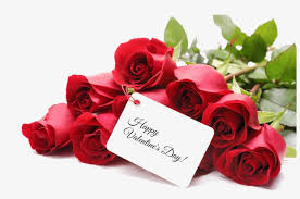 Discover 907 free valentines day png images with transparent backgrounds. Valentines Day Png Image Valentines Day Red Roses Png Image Transparent Png Free Download On Seekpng