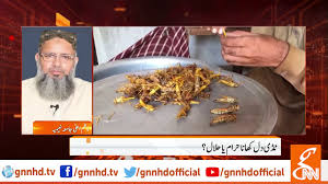 Why are shrimps halal and crabs haram 1 0 apk com shrimps halal crabs haram apk download from apkplz.net yes, fishing is halal on saturday for muslims and it is also halal to eat. Quick Answer Is Locust Halal In Islam Business Finance