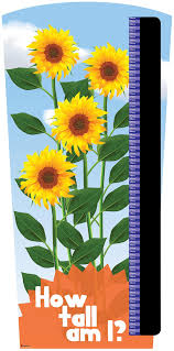 Super Sunflower Height Chart