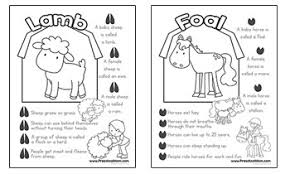 Click on any farm animals picture above to start coloring. Farm Preschool Printables Preschool Mom