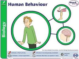 1 Of 9 C Boardworks Ltd 2015 2 Of 9 C Boardworks Ltd 2015 What Is Behaviour Behaviour Is The Way In Which A Person Ac Human Behavior What Is Behaviour Behavior