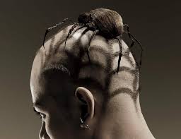 Halloween Spider Hairdo Crazy Hair Creative Hairstyles Hair Art