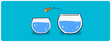 Blue ocean strategy is a concept that has been pioneered by insead professors, w. Blue Ocean Strategy Pengertian Cara Mengembangkan Contoh Kelebihan Dan Kekurangannya Accurate Online