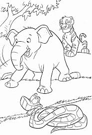 Download this adorable dog printable to delight your child. Jungle Animal Coloring Pages Beautiful African Safari Coloring Pages Printable Animal Coloring Books Rainforest Animals Jungle Coloring Pages