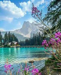 Sign In Beautiful Nature Pictures Beautiful Landscapes Beautiful Nature Wallpaper