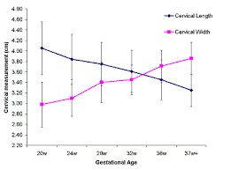 Serial Transvaginal Sonographic Measurement Of Cervical