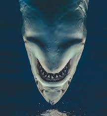 Raúl méndez martínez (born april 11, 1969 in laguna, torreón, mexico) is a mexican actor of film, theater and television Thewhitewhip On Twitter Horrorlosers Recortando La Parte Inferior De La Imagen Veo A Una Especie De Diablo Https T Co Qqhr9apsvn Twitter
