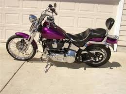 Image result for Dark Victory Red 1994 FXSTS