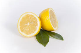 Check spelling or type a new query. Eloigner Les Puces 5 Remedes Naturels Et Efficaces