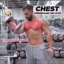Chest Underhand Pec Dumbbells Fly Chest Underhand Pec Dumbbells Fly Dumbbell Fly Dumbell Workout Deltoid Workout