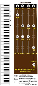 Frequencies What Are The Frequencies Of Bass Notes Faq