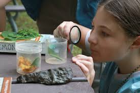 Little River Trading...