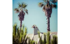 Offres sur les hôtels : Avant L Ete La Grande Motte S Expose A Paris Ideat