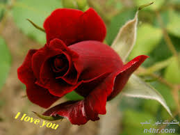 We did not find results for: ØµÙˆØ± ÙˆØ±ÙˆØ¯ Ù…ÙƒØªÙˆØ¨ Ø¹Ù„ÙŠÙ‡Ø§ ÙƒÙ„Ø§Ù… Ø±ÙˆÙ…Ø§Ù†Ø³ÙŠ I Love You Ø§Ù„Ø¥Ø¨Ø¯Ø§Ø¹ Ø§Ù„ÙØ¶Ø§Ø¦ÙŠ