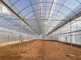 Bạt nhà kính là gì? Đặc điểm, công dụng của bạt nhà kính