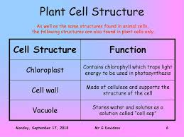 Lysosomes are found only in animal cells. National 5 Biology Cell Structure Mr G Davidson Ppt Download