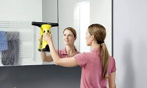 Pico didn't catch it at first, but soon enough, found himself practising with the other. Karcher S Bestselling Window Vac Is Now On Sale For Under 60 On Amazon Daily Mail Online